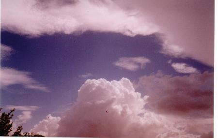 TABALDE SIPOBES DIAWGANI REMOBES