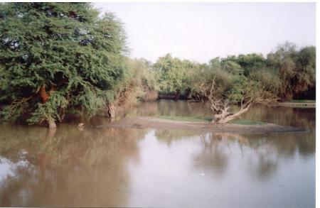 WENDOU SOUKOUNDOU - BELLI OURDIS