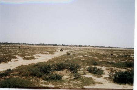 TOULDE DOUBANGO VU DEPUIS PONGUEL