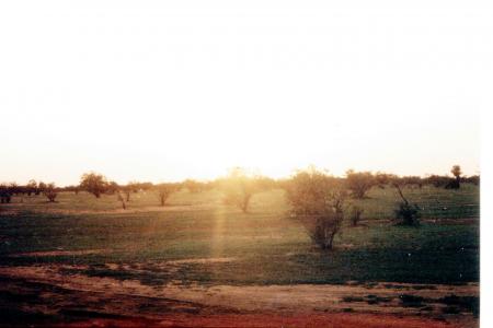 ENTRE GOUREL THIAMBES ET BELLI OURDIS